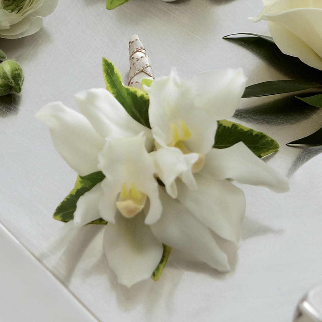 White Mini Cymbidium Boutonniere – Parsons Country Floral, Wise VA