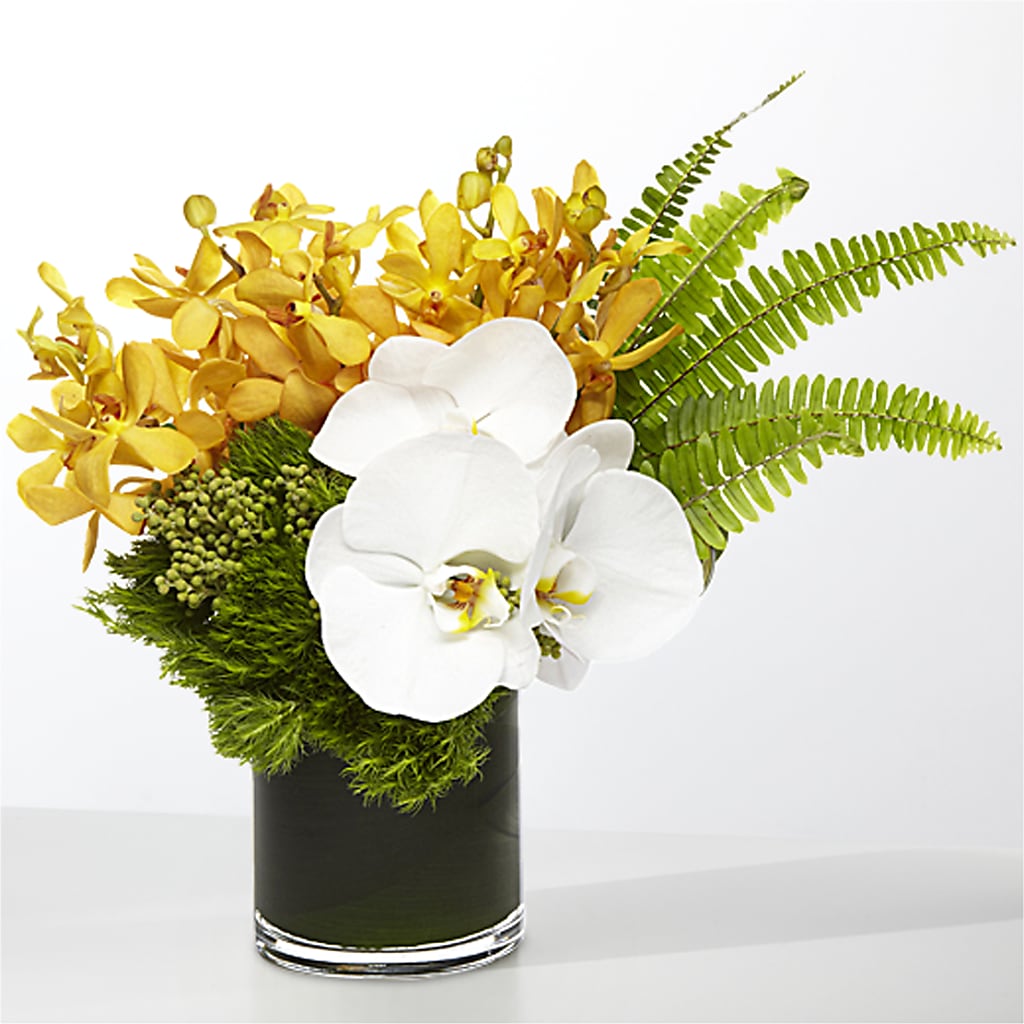 The Tropics –  Parsons Country Floral, Wise VA